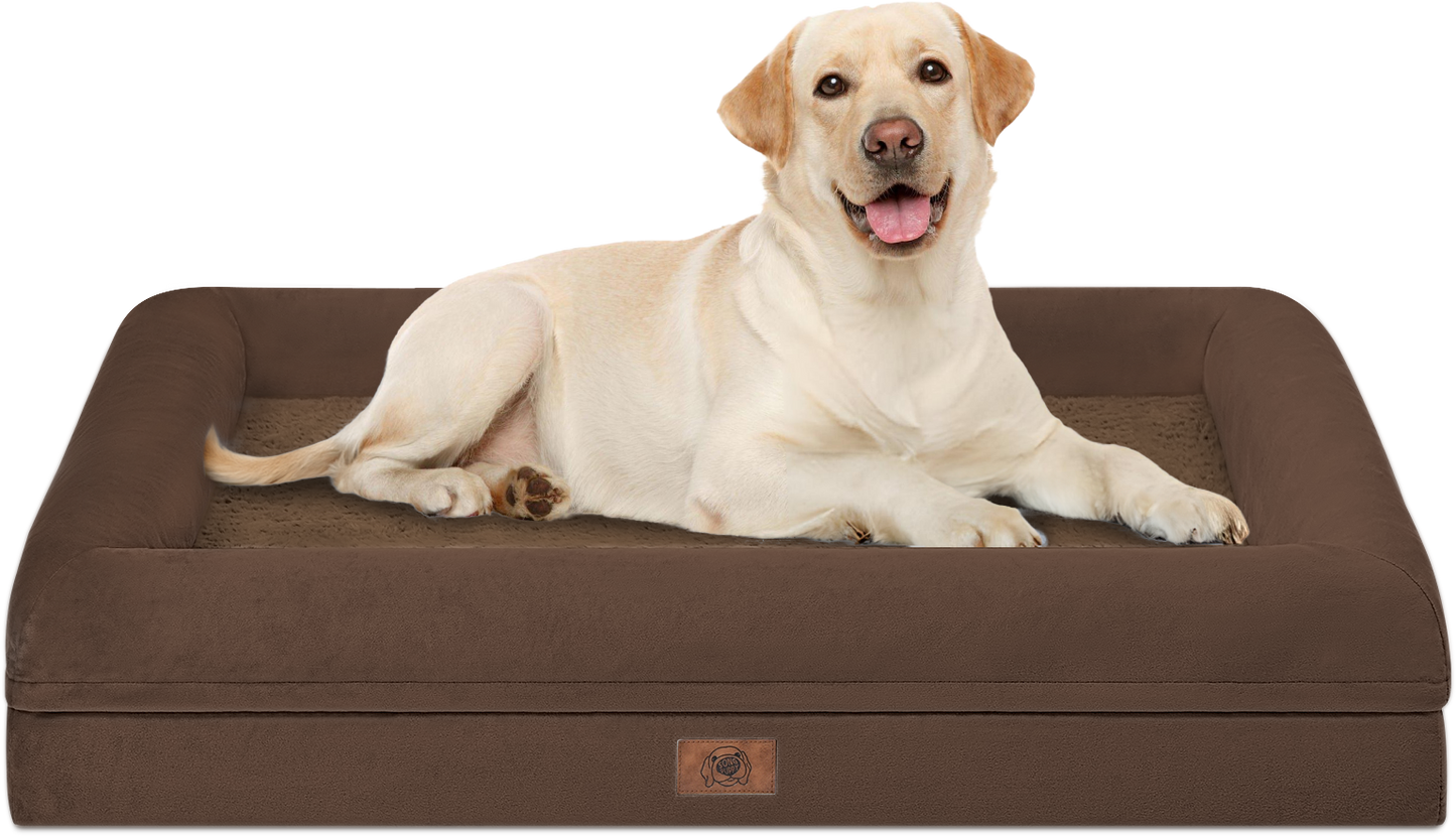 Orthopedic Dog Bed